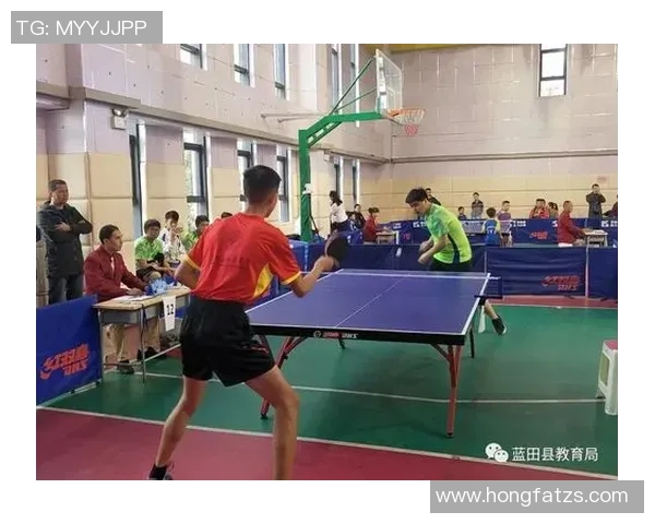 西安乒乓球队技术争议引发热议球迷与专家观点碰撞激烈